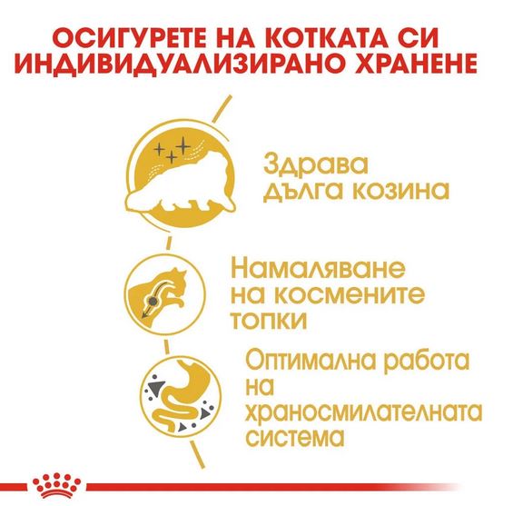 Royal Canin Persian, Персийски котки над 1 година -3